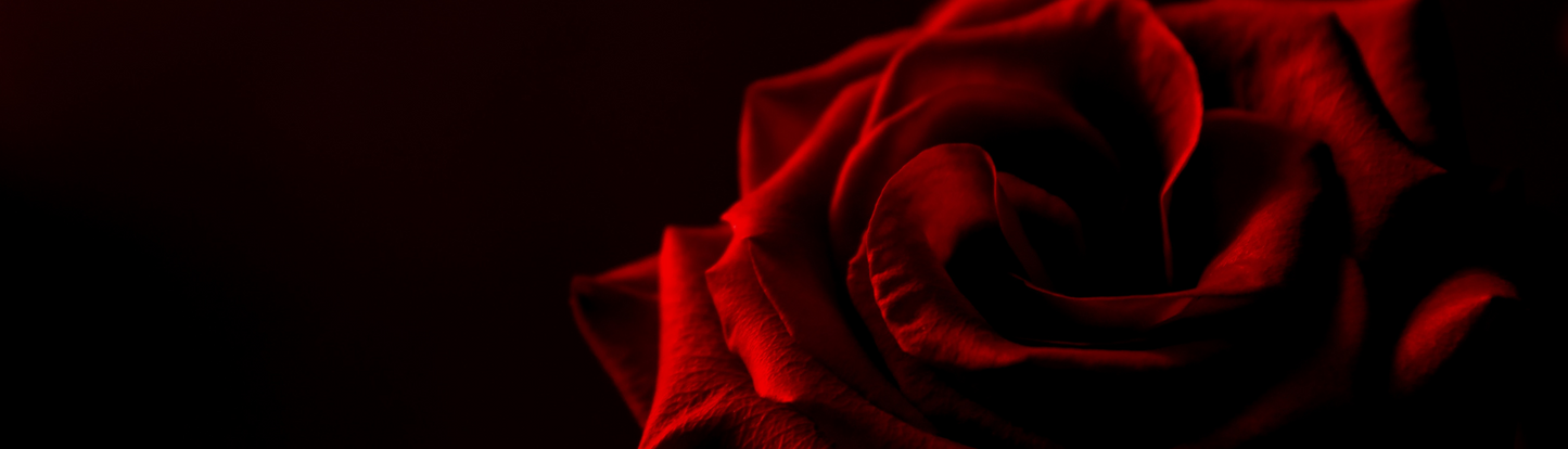 The Valentines Day Collection