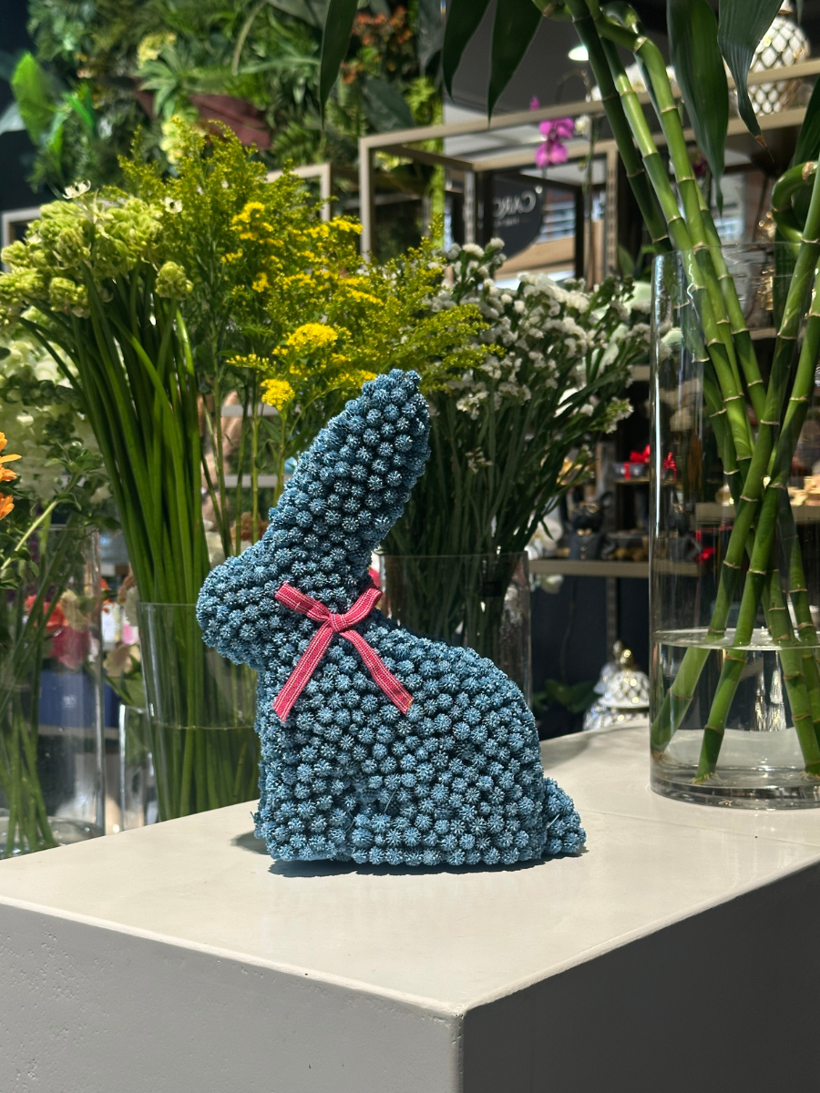 Seed Rabbit - Large for sale in-store or delivery