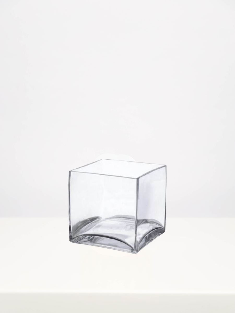 Glass Cube Vase - 12cm