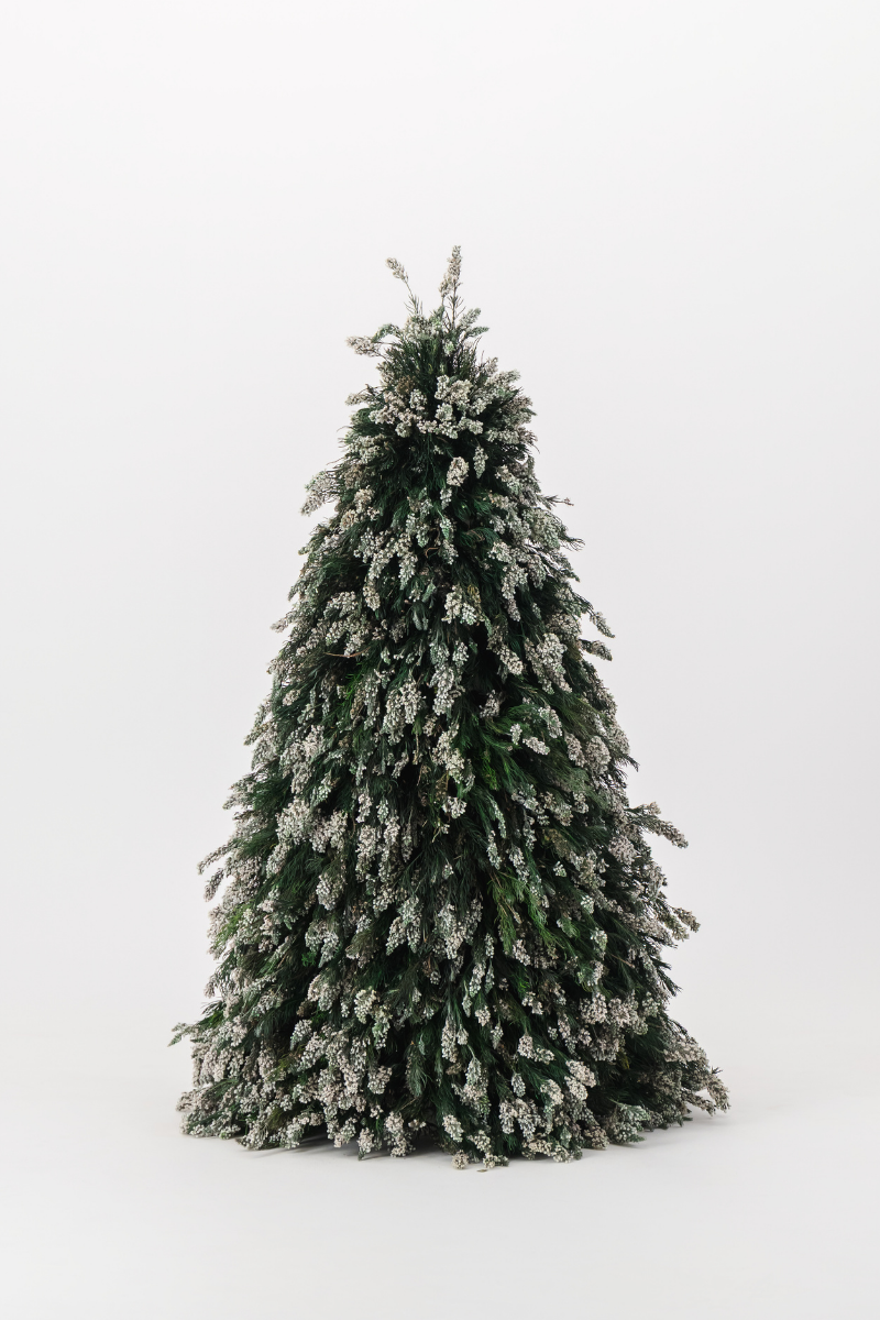 Green Spatalla Tree - 68cm