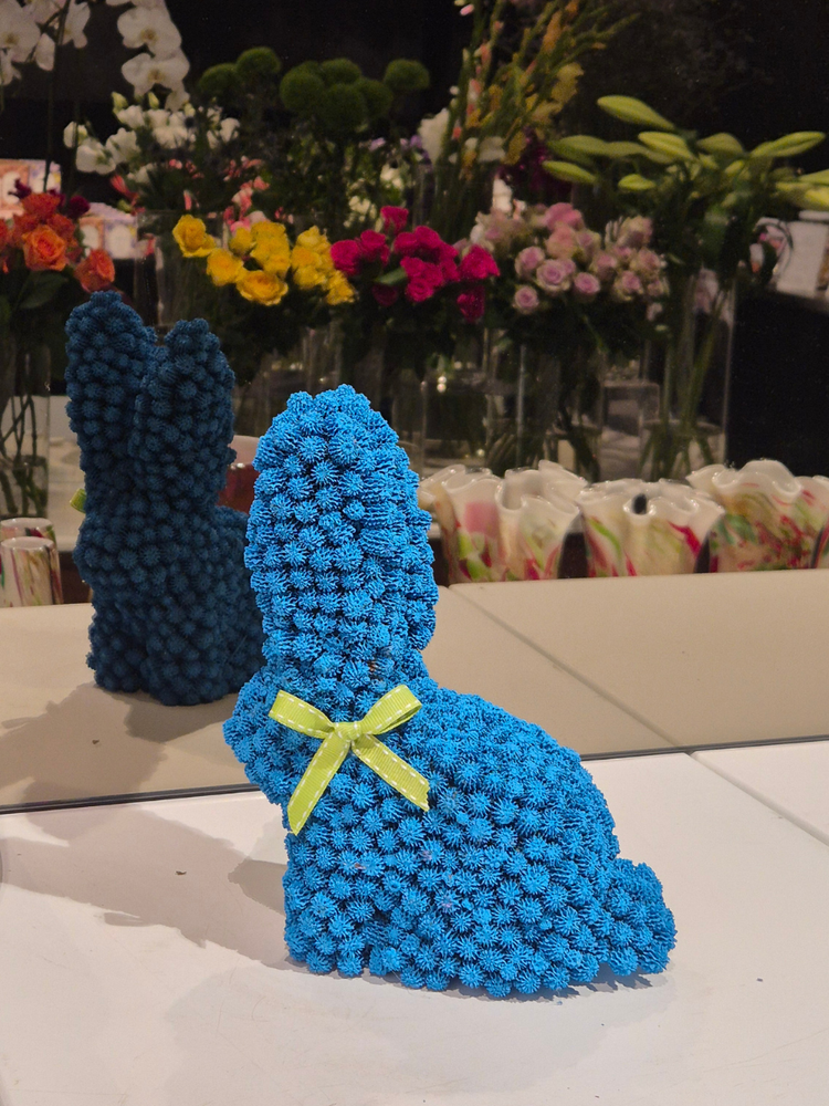 Seed Rabbit - Small for sale in-store or delivery