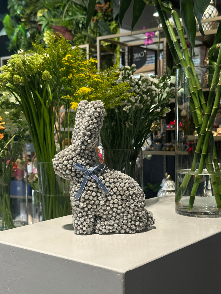 
                      
                        Seed Rabbit - Large
                      
                    