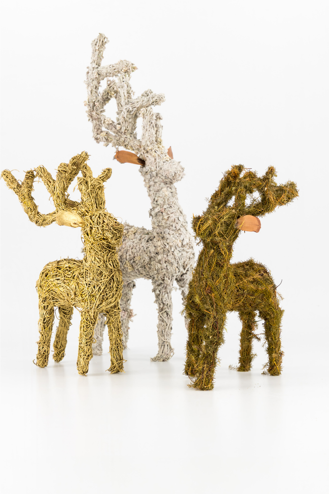 
                      
                        Green Brazilia Deer - 22cm
                      
                    