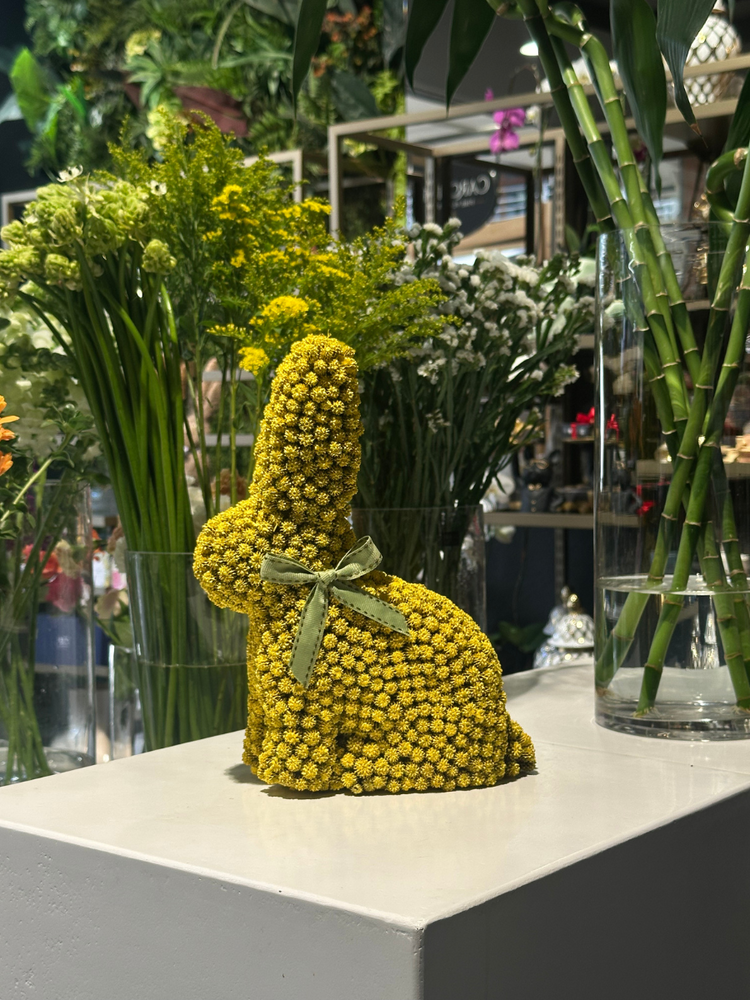 
                      
                        Seed Rabbit - Large
                      
                    