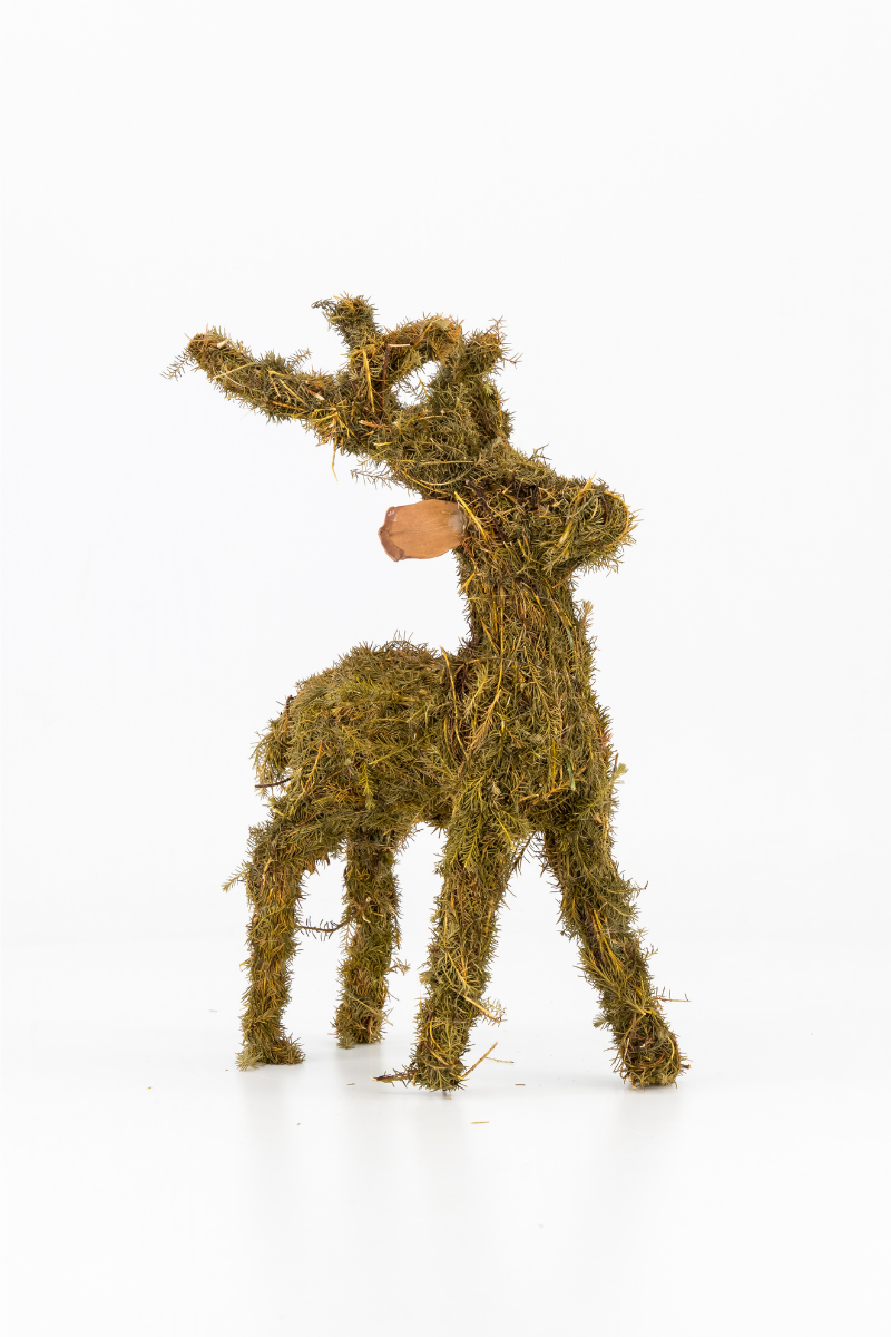 Green Brazilia Deer - 22cm