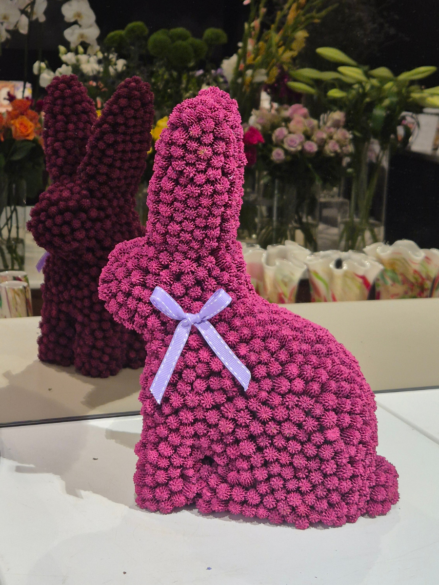 Seed Rabbit - Large for sale in-store or delivery