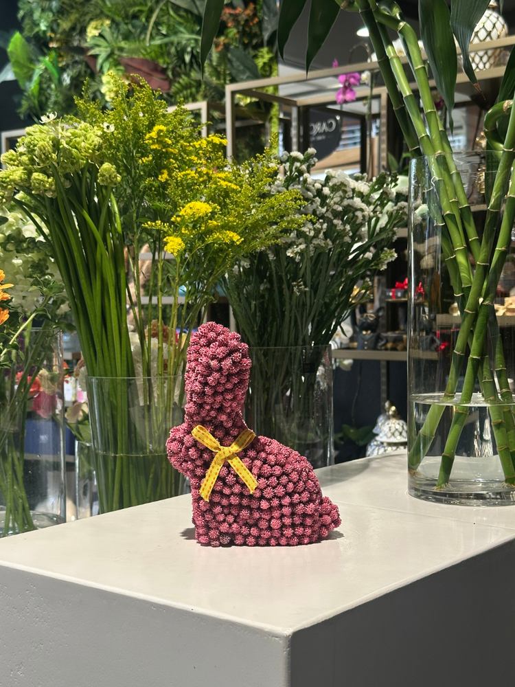 
                      
                        Seed Rabbit - Small
                      
                    