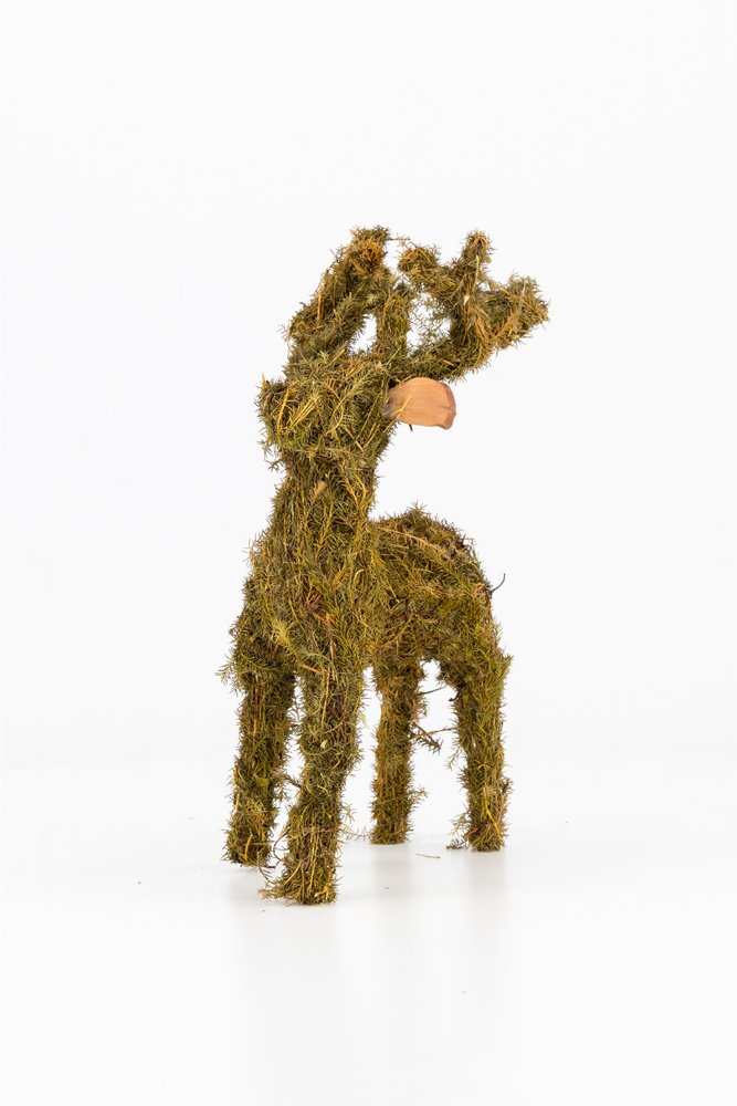 
                      
                        Green Brazilia Deer - 22cm
                      
                    
