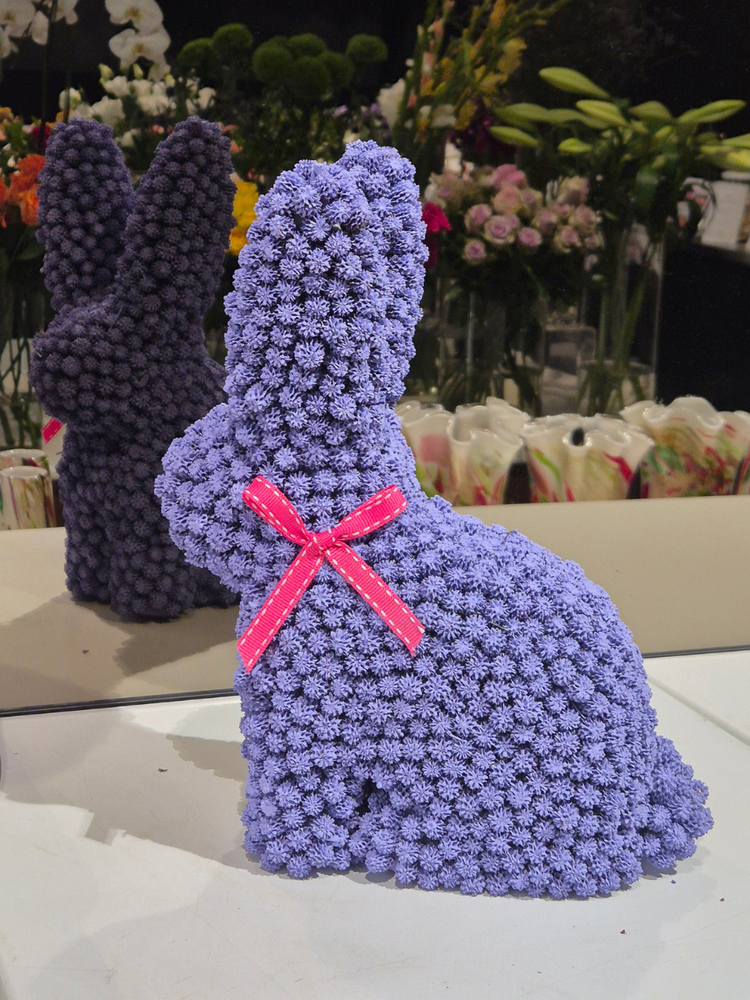 Seed Rabbit - Large for sale in-store or delivery