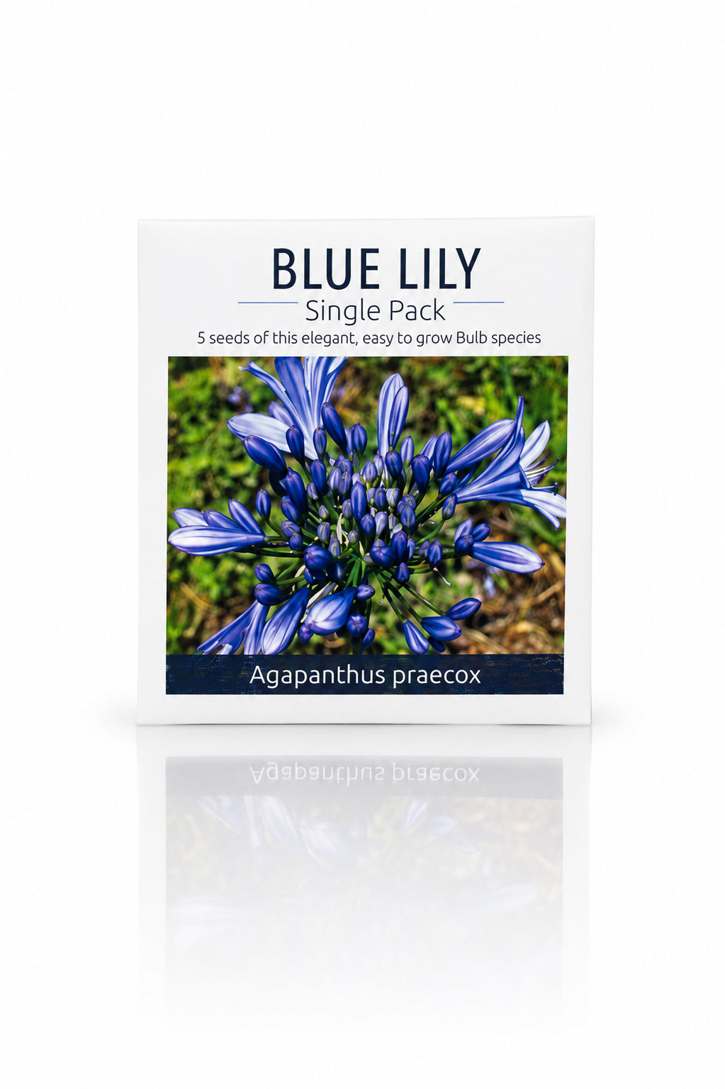 Seed Packet - Blue Lily