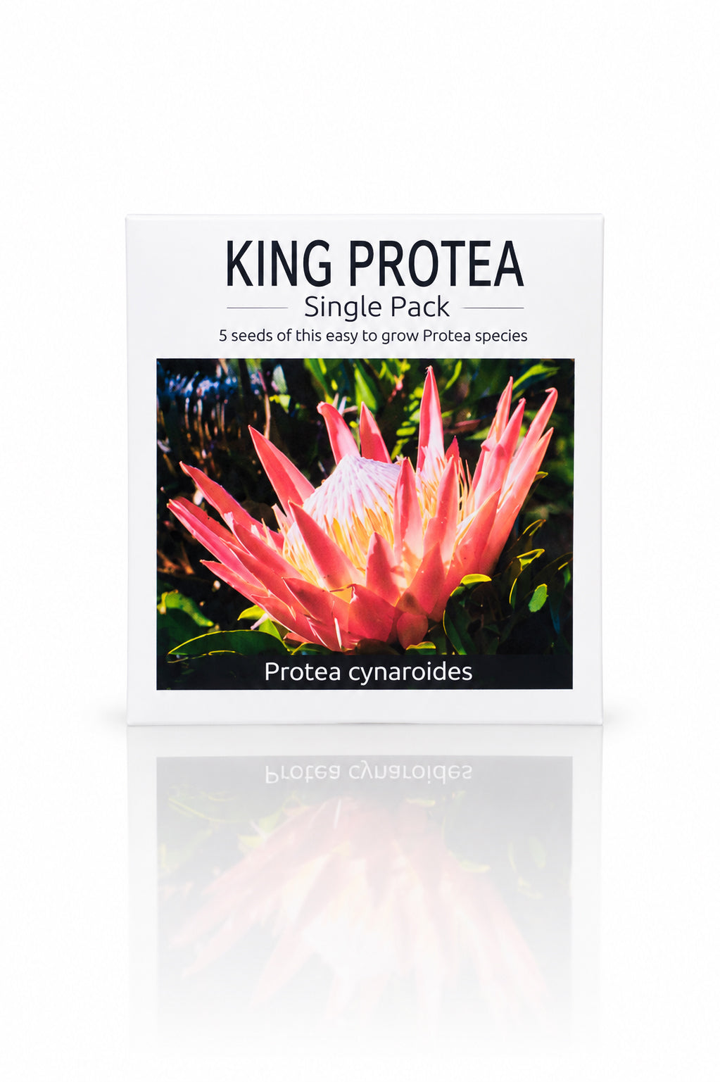 Seed Packet - King Protea