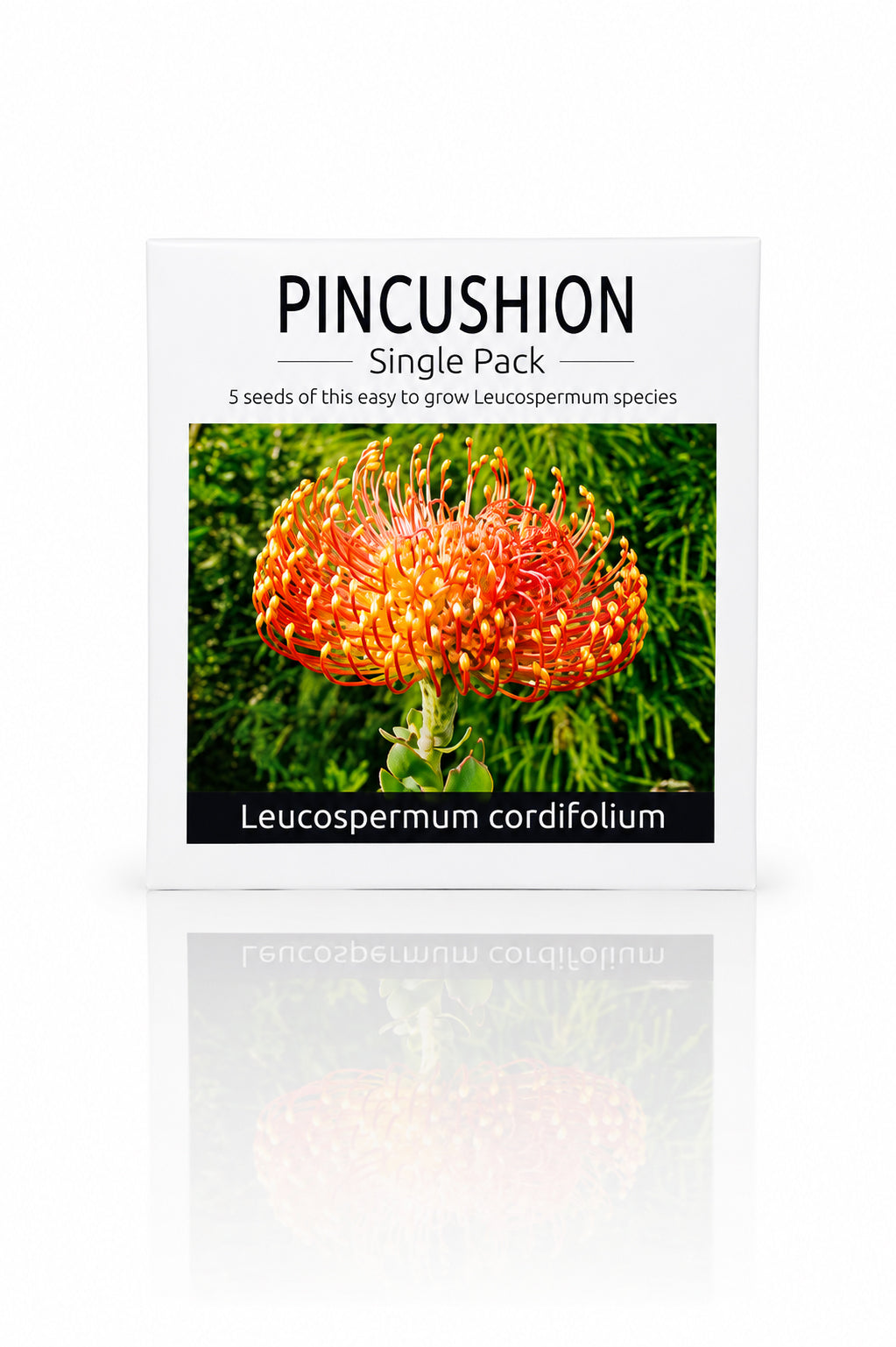 Seed Packet - Pincushion