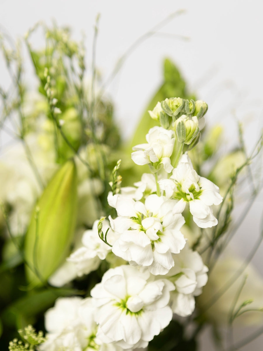 Ivory Heath Bouquet for sale in-store or delivery