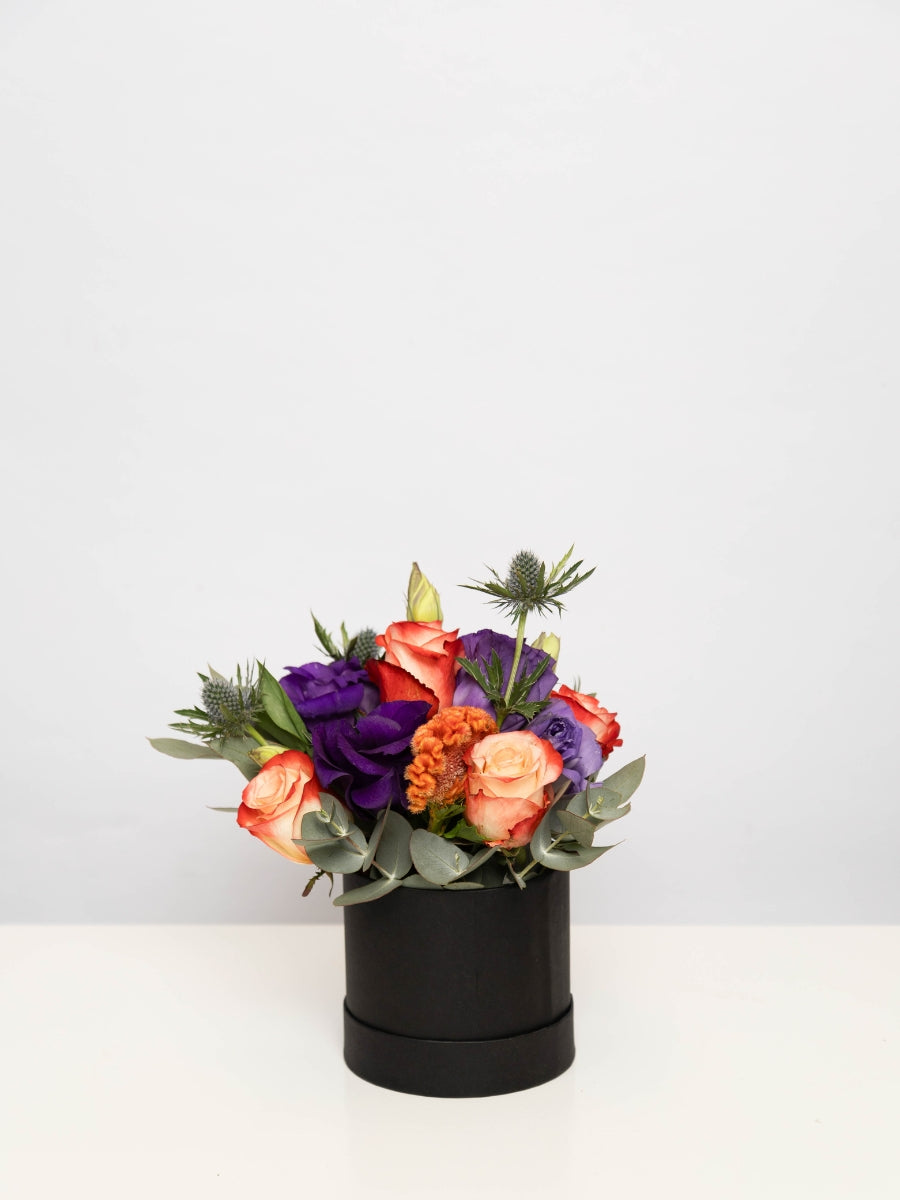 SmallHatbox2.jpg