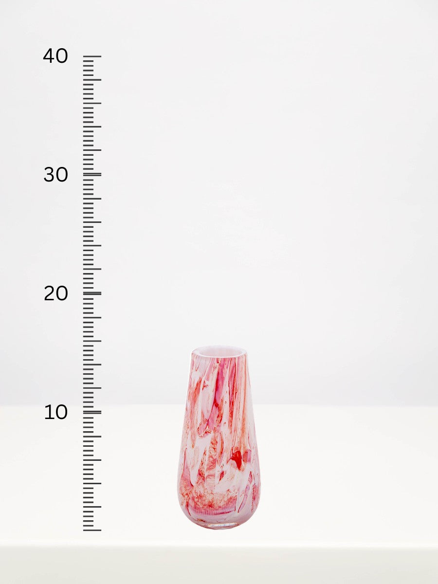 Fidrio - Gloriosa Rosea - 15cm next to a centimetre ruler showing its height