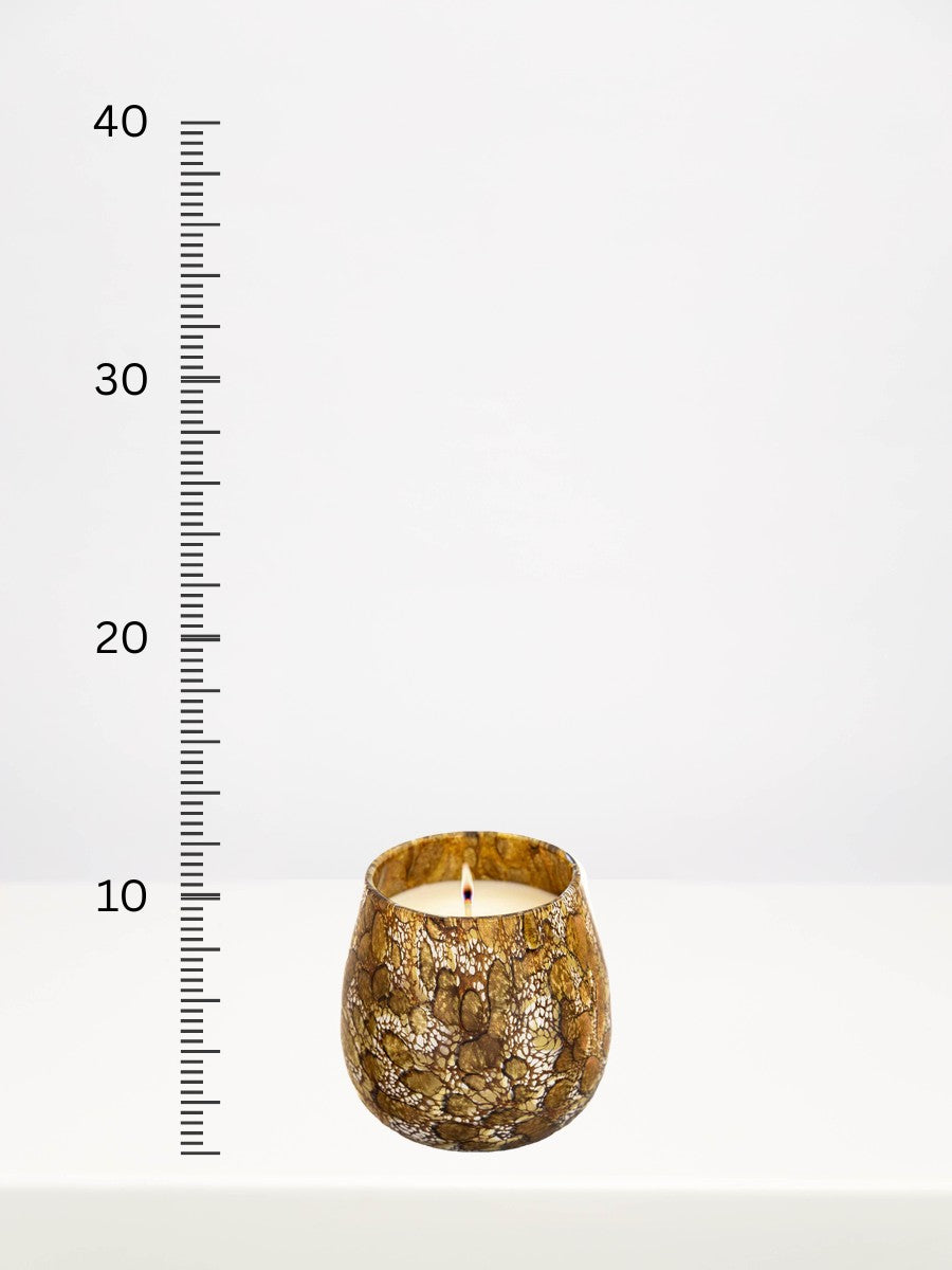 Fidrio - Gold Midnight Velvet Candle - Medium next to a centimetre ruler showing its height